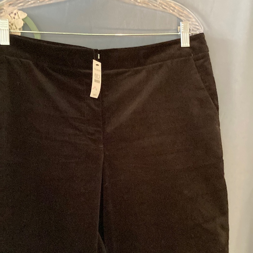 Talbots RSVP Velvet pants, size 12